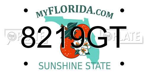 8219GT Florida License Plate