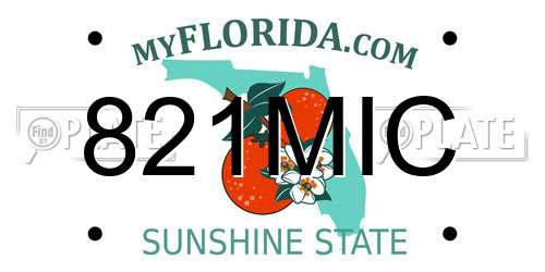821MIC Florida License Plate
