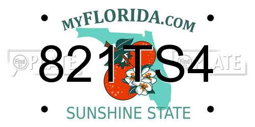 821TS4 Florida License Plate