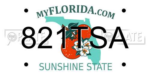 821TSA Florida License Plate
