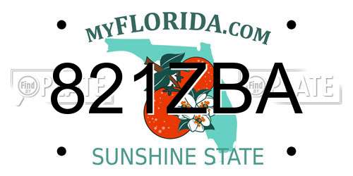 821ZBA Florida License Plate