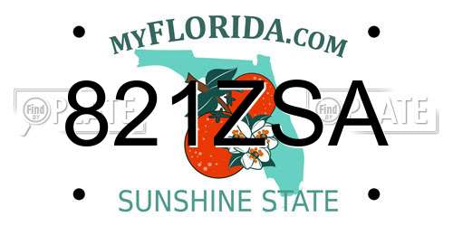 821ZSA Florida License Plate