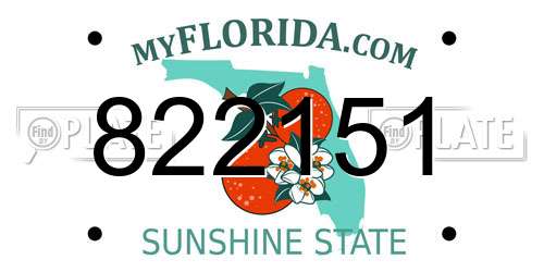 822151 Florida License Plate