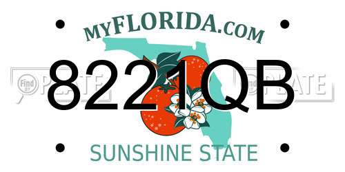 8221QB Florida License Plate