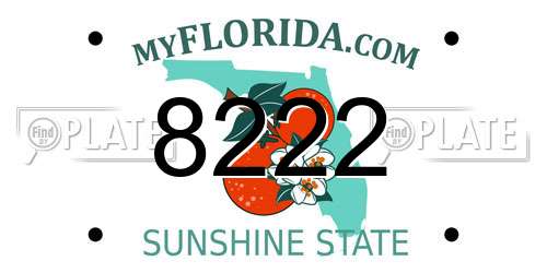 8222 Florida License Plate