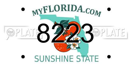 8223 Florida License Plate