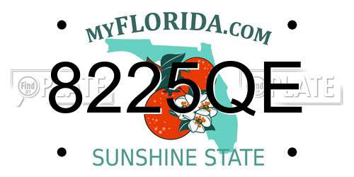 8225QE Florida License Plate