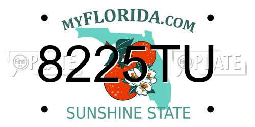 8225TU Florida License Plate