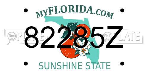 82285Z Florida License Plate