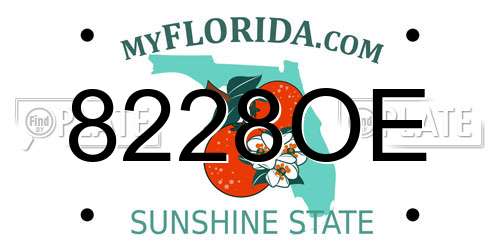 8228OE Florida License Plate