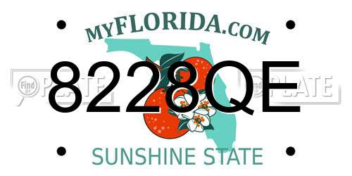 8228QE Florida License Plate