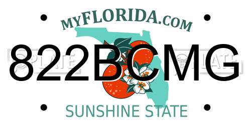 822BCMG Florida License Plate