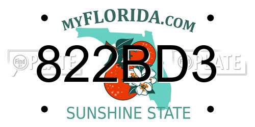 822BD3 Florida License Plate