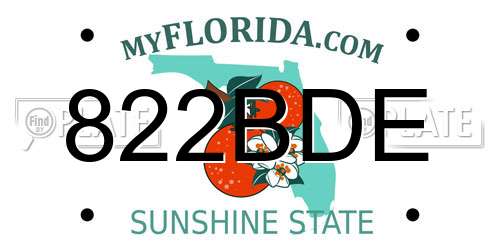 822BDE Florida License Plate