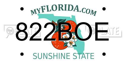 822BOE Florida License Plate