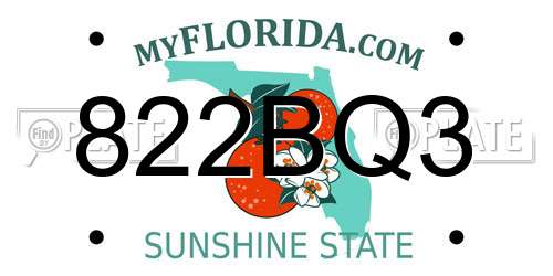 822BQ3 Florida License Plate