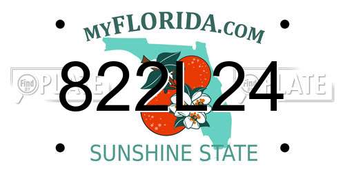 822L24 Florida License Plate
