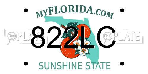 822LC Florida License Plate