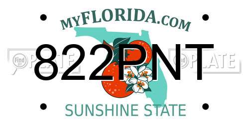 822PNT Florida License Plate