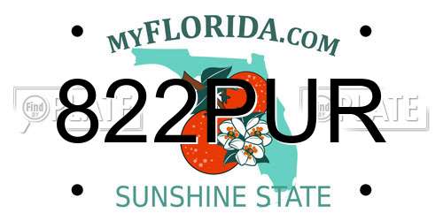 822PUR Florida License Plate