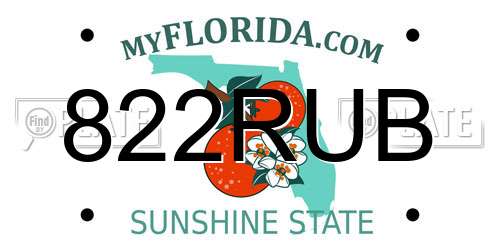 822RUB Florida License Plate