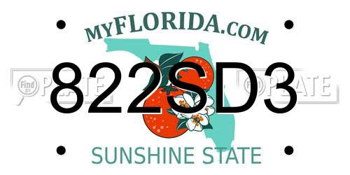 822SD3 Florida License Plate
