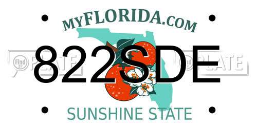 822SDE Florida License Plate