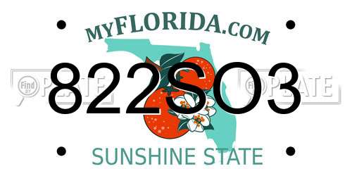 822SO3 Florida License Plate