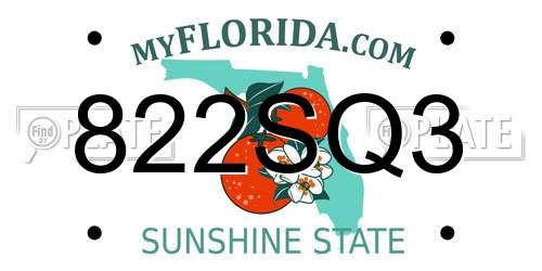 822SQ3 Florida License Plate