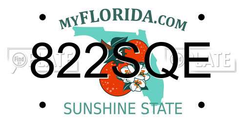 822SQE Florida License Plate