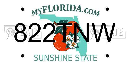 822TNW Florida License Plate