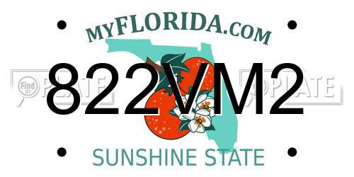 822VM2 Florida License Plate