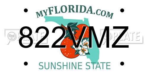 822VMZ Florida License Plate