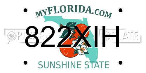 822XIH Florida License Plate