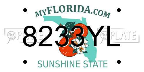 8233YL Florida License Plate
