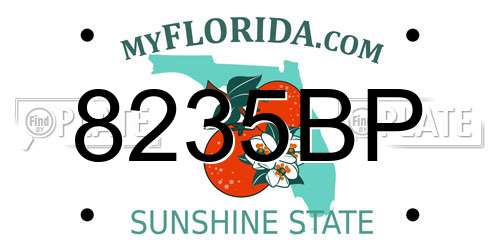8235BP Florida License Plate
