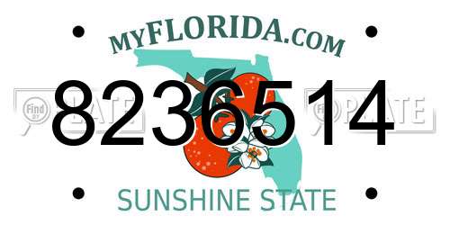 8236514 Florida License Plate
