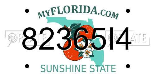 82365I4 Florida License Plate