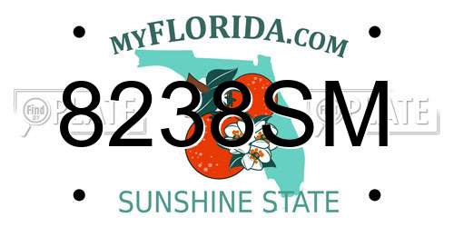 8238SM Florida License Plate