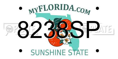 8238SP Florida License Plate