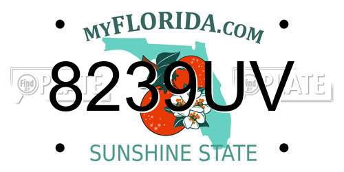 8239UV Florida License Plate