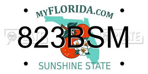 823BSM Florida License Plate