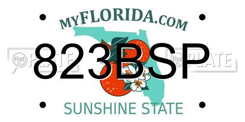 823BSP Florida License Plate