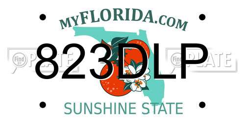 823DLP Florida License Plate