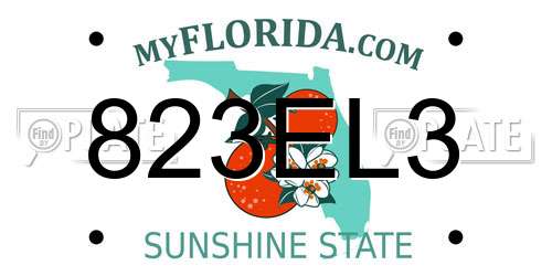 823EL3 Florida License Plate