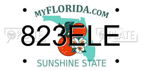 823ELE Florida License Plate