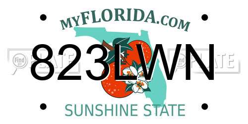 823LWN Florida License Plate