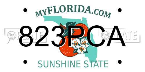823PCA Florida License Plate