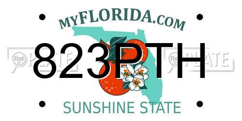 823PTH Florida License Plate