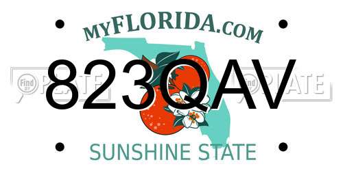823QAV Florida License Plate